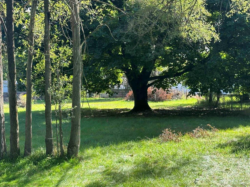 11253 Deer Lake Road