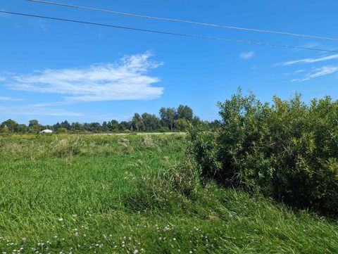 0 S Court Street Au Gres Township MI 48703