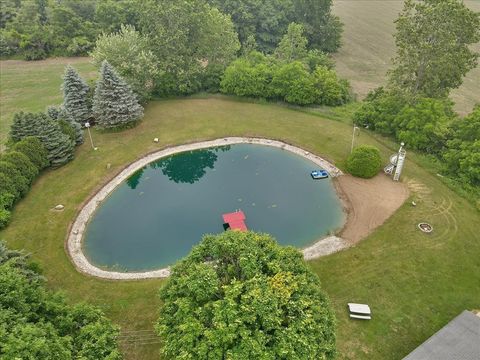 A home in Dundee Twp