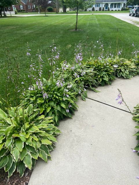 A home in Spring Lake Twp