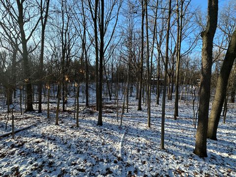 A home in Scio Twp