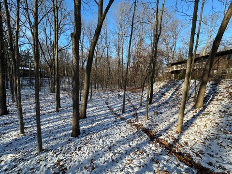 A home in Scio Twp