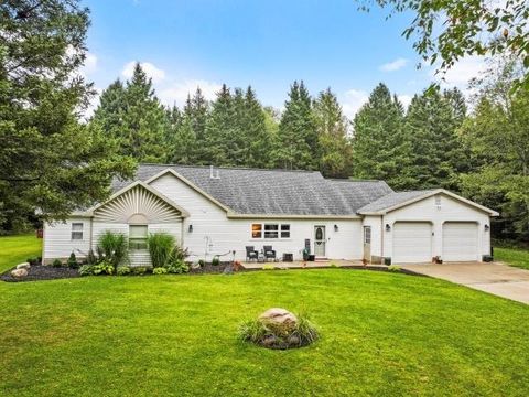 A home in Colfax Twp