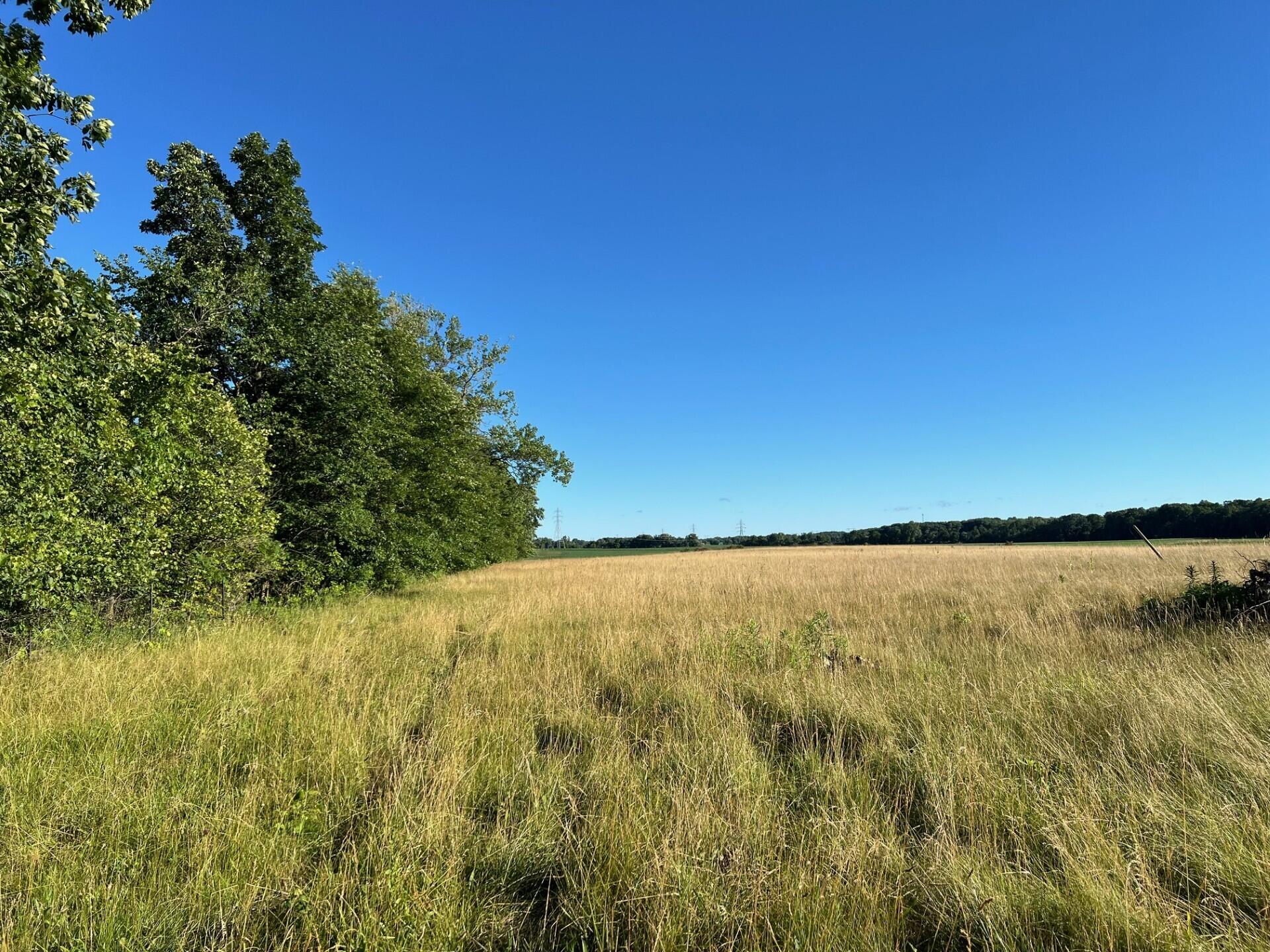 Buchanan, Michigan 49128, United States, ,Land,Active,67598