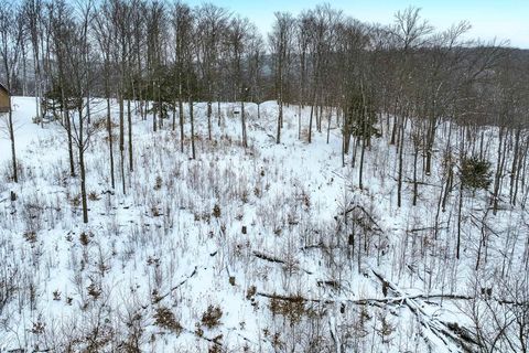 Lot 11 Connemara Drive Evangeline Township MI 49712