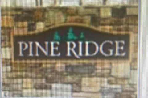 000 Ridge Deerfield Township MI 48858