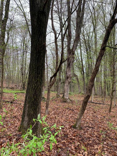 A home in Hersey Twp