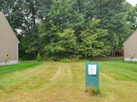 11410 Hidden Oaks Drive Vienna Charter Township MI 48420