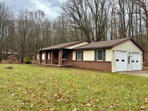 A home in Evart Twp