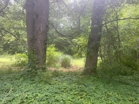 VACANT LOT Miami Avenue Arlington Township MI 49056