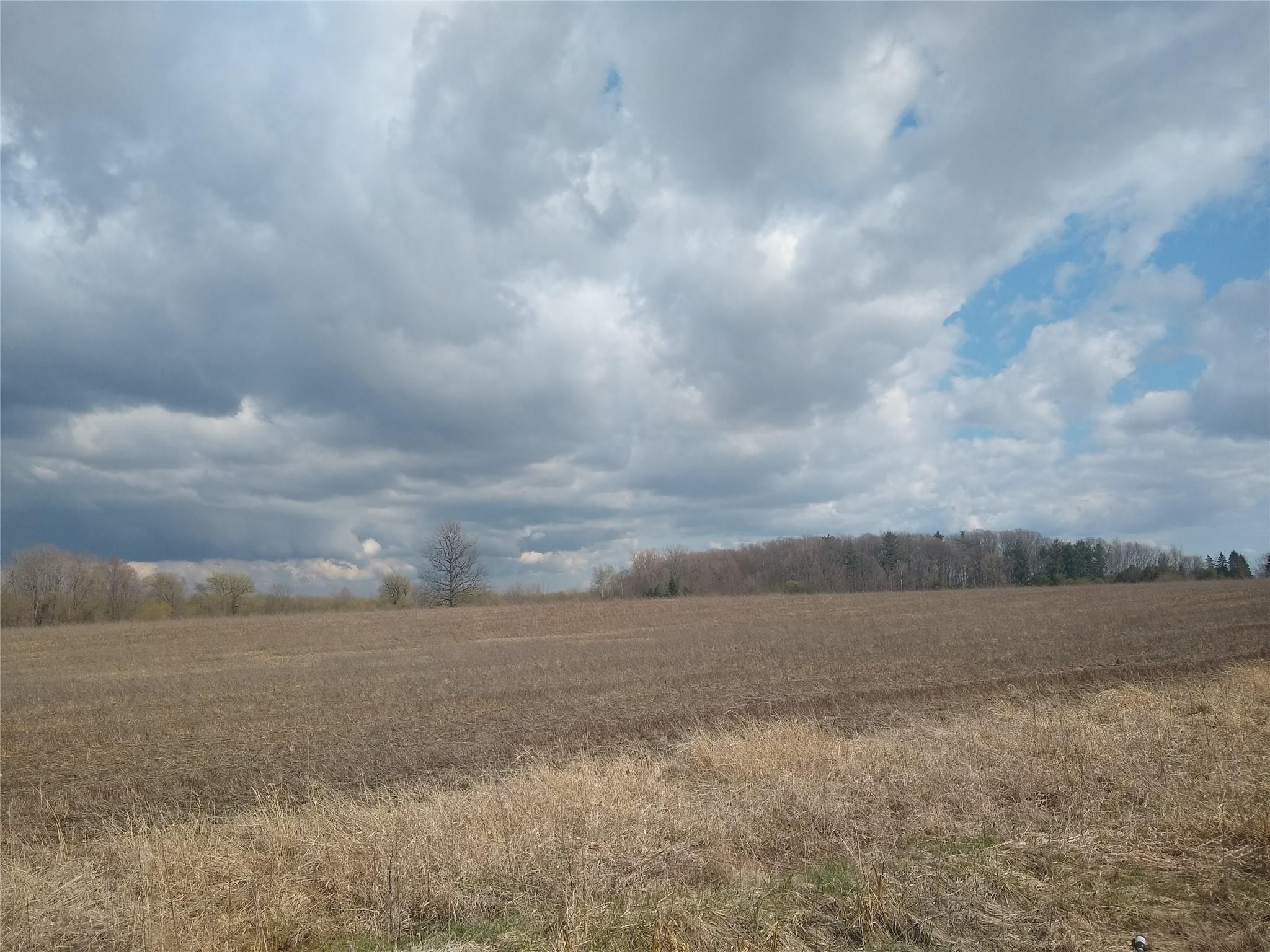 View Imlay Twp, MI 48444 land