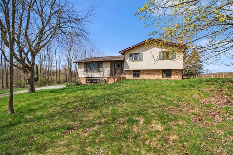 A home in Webster Twp