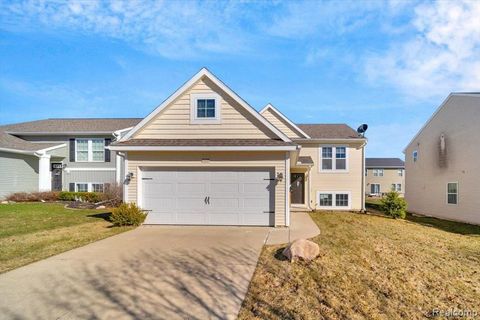 8598 PINNEBOG RIVER Drive Handy Township Livingston MI 48836