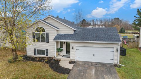 A home in Cedar Springs