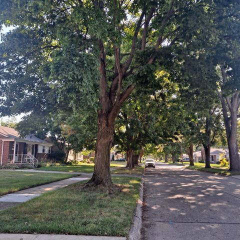 A home in Livonia