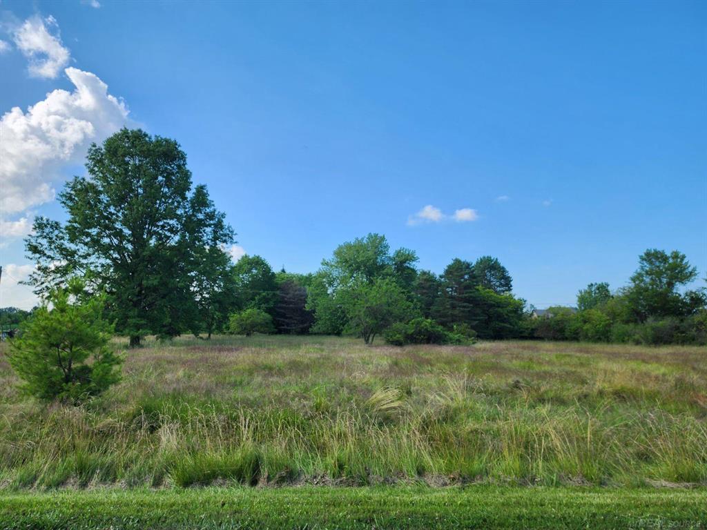 Vacant Springborn Road