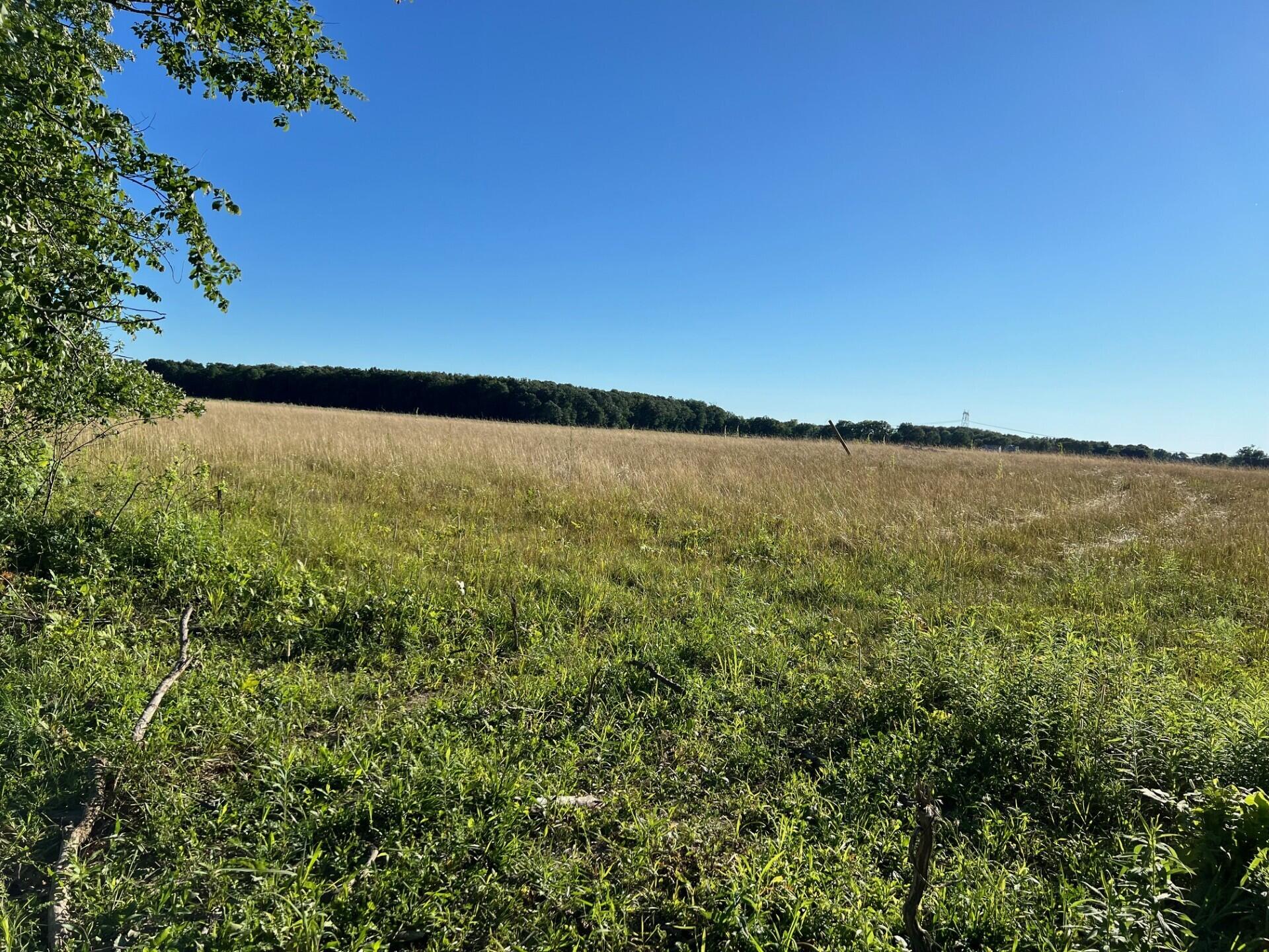 Buchanan, Michigan 49128, United States, ,Land,Active,67600