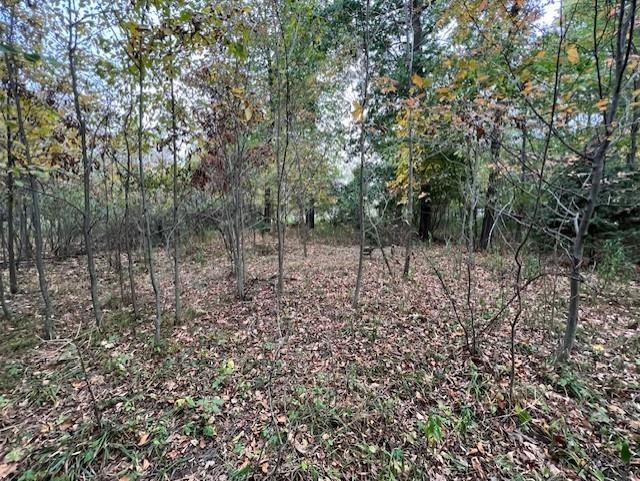 TBD Oakridge Drive
