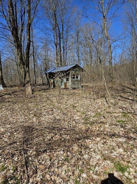 A home in Cedar Twp