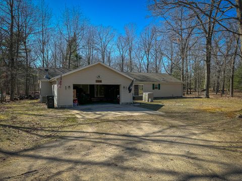 A home in Pentwater Twp