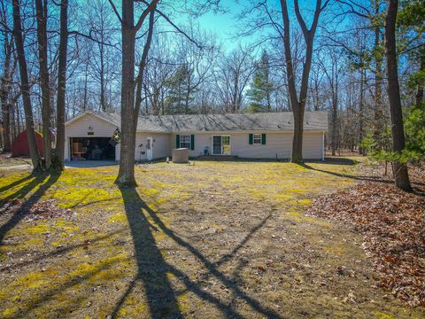 A home in Pentwater Twp