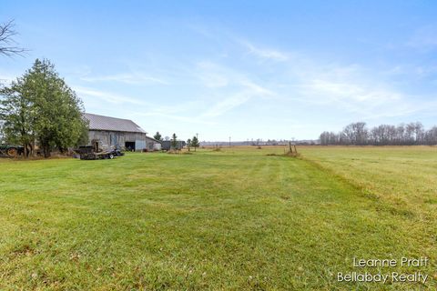 A home in Pierson Twp