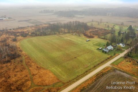 A home in Pierson Twp