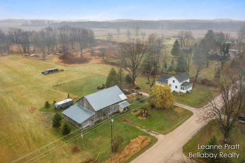 A home in Pierson Twp