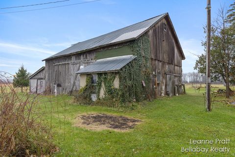 A home in Pierson Twp