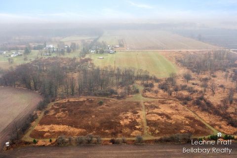 A home in Pierson Twp