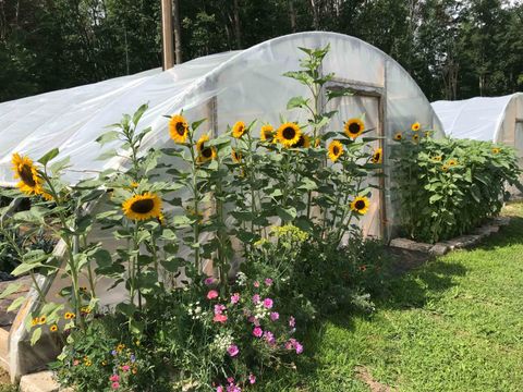 A home in Home Twp