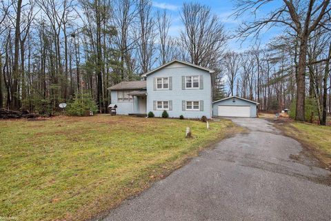 A home in Clyde Twp