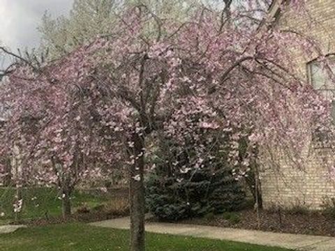 A home in Commerce Twp