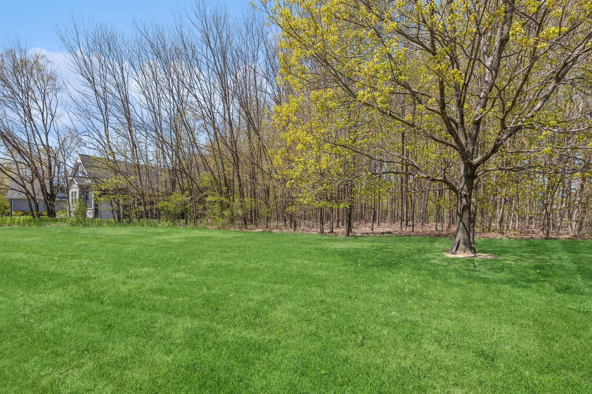 Lincoln Township, Michigan 49127, United States, ,Land,Active,41029