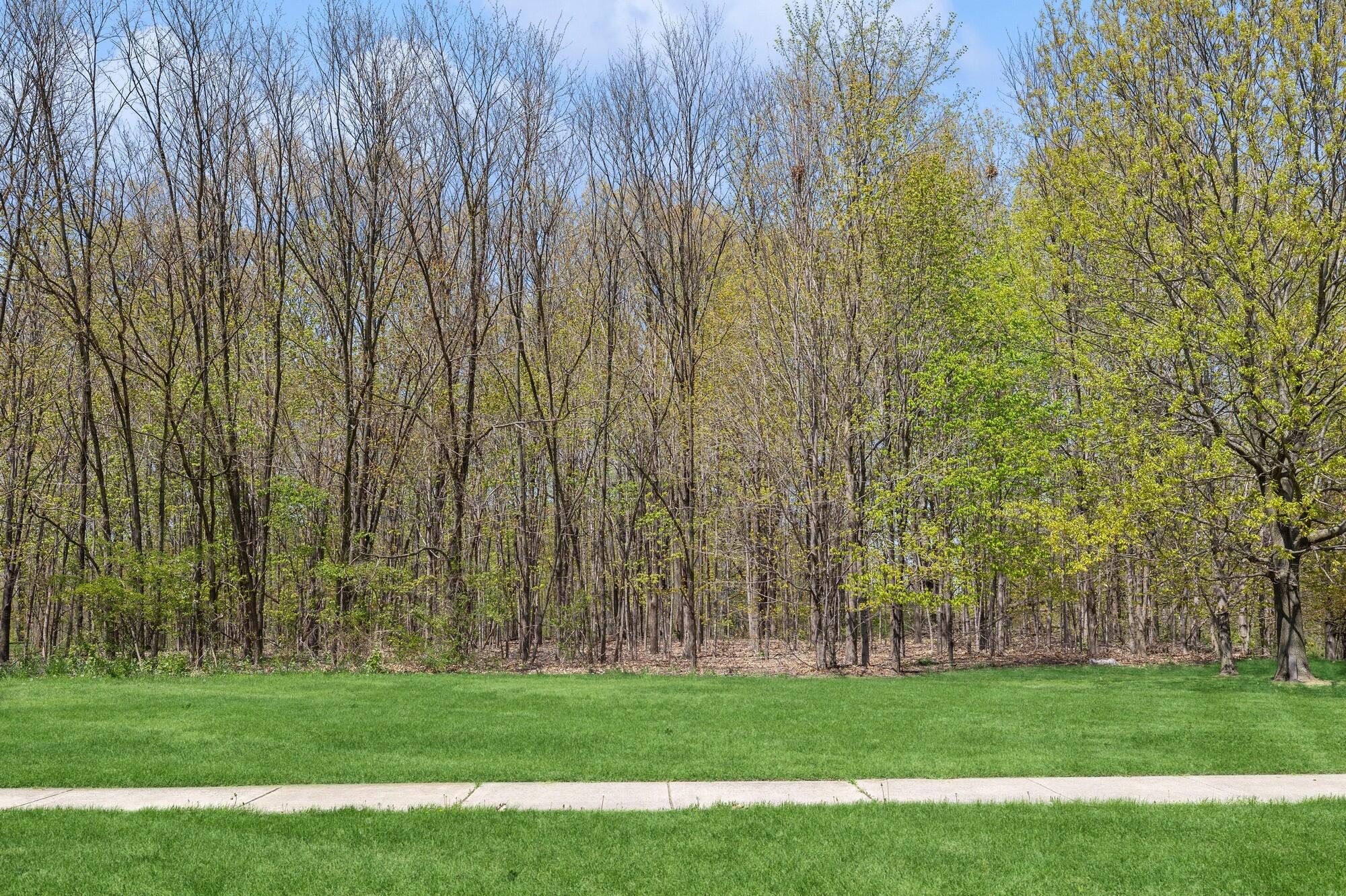 Lincoln Township, Michigan 49127, United States, ,Land,Active,41029