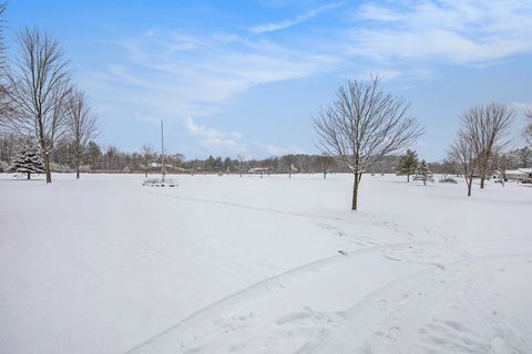 A home in Clyde Twp