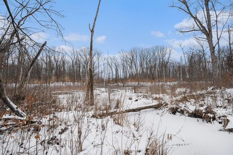 A home in Volinia Twp