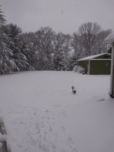 A home in Hamburg Twp