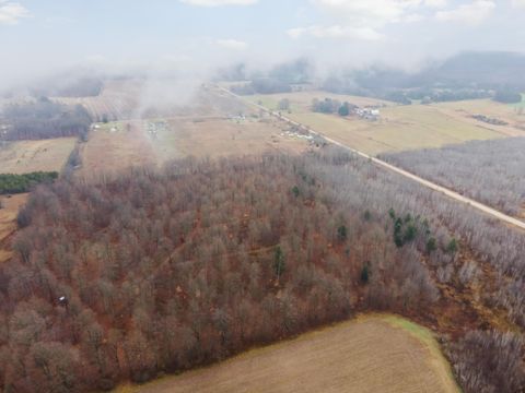 A home in HarriettaVlg-Slagle Twp