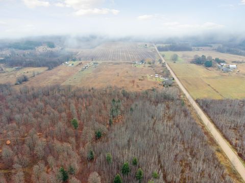 A home in HarriettaVlg-Slagle Twp