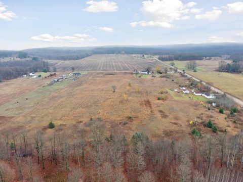 A home in HarriettaVlg-Slagle Twp