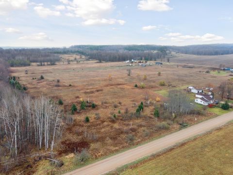 A home in HarriettaVlg-Slagle Twp