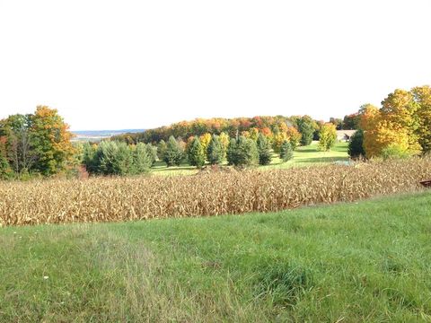 A home in Benzonia Twp