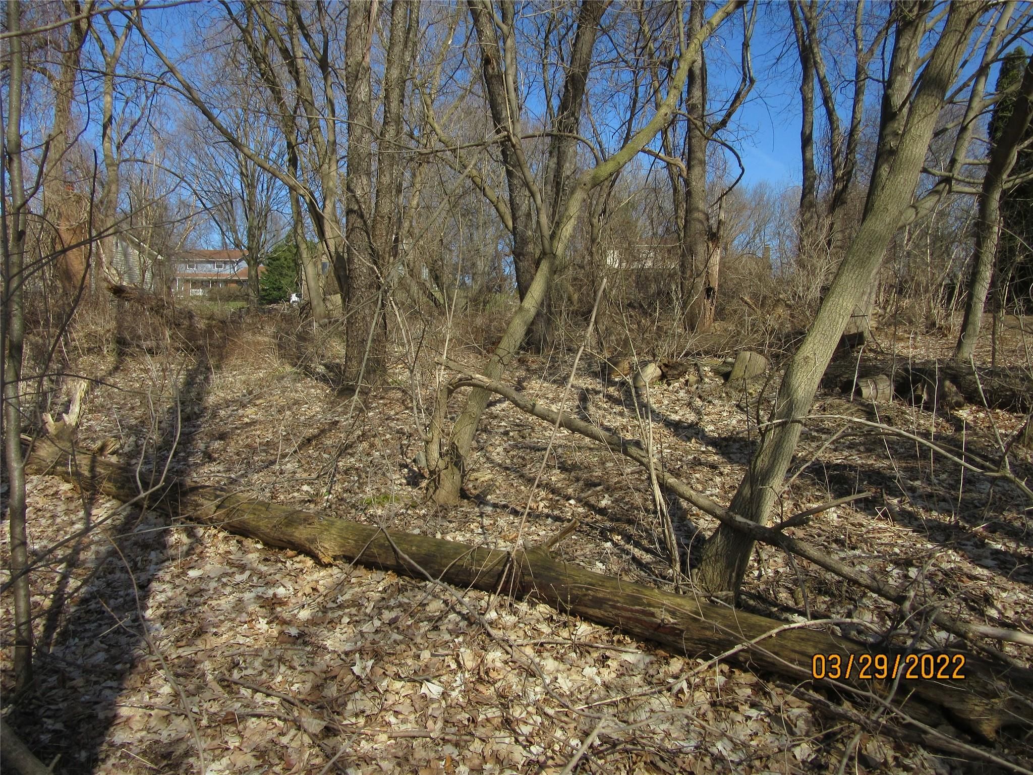Lot 19 Milford Heights
