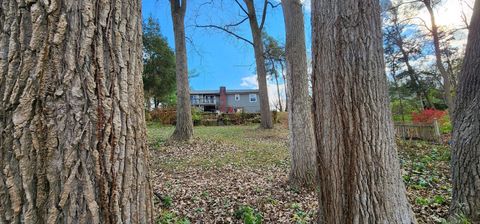 A home in Pinckney Vlg