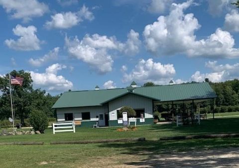 13240 BLUEBERRY Lane Forest Township MI 48464