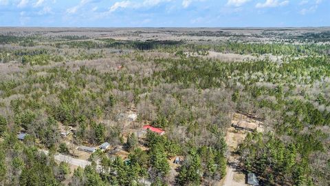 A home in Bear Lake Twp