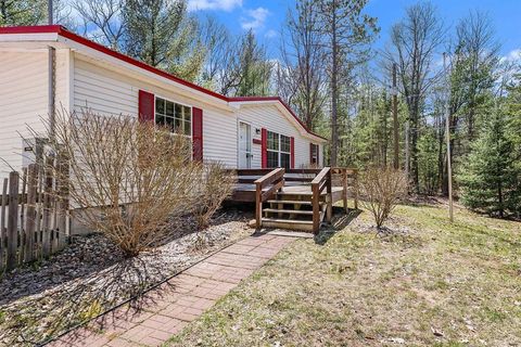 A home in Bear Lake Twp