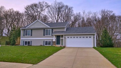 A home in Leighton Twp