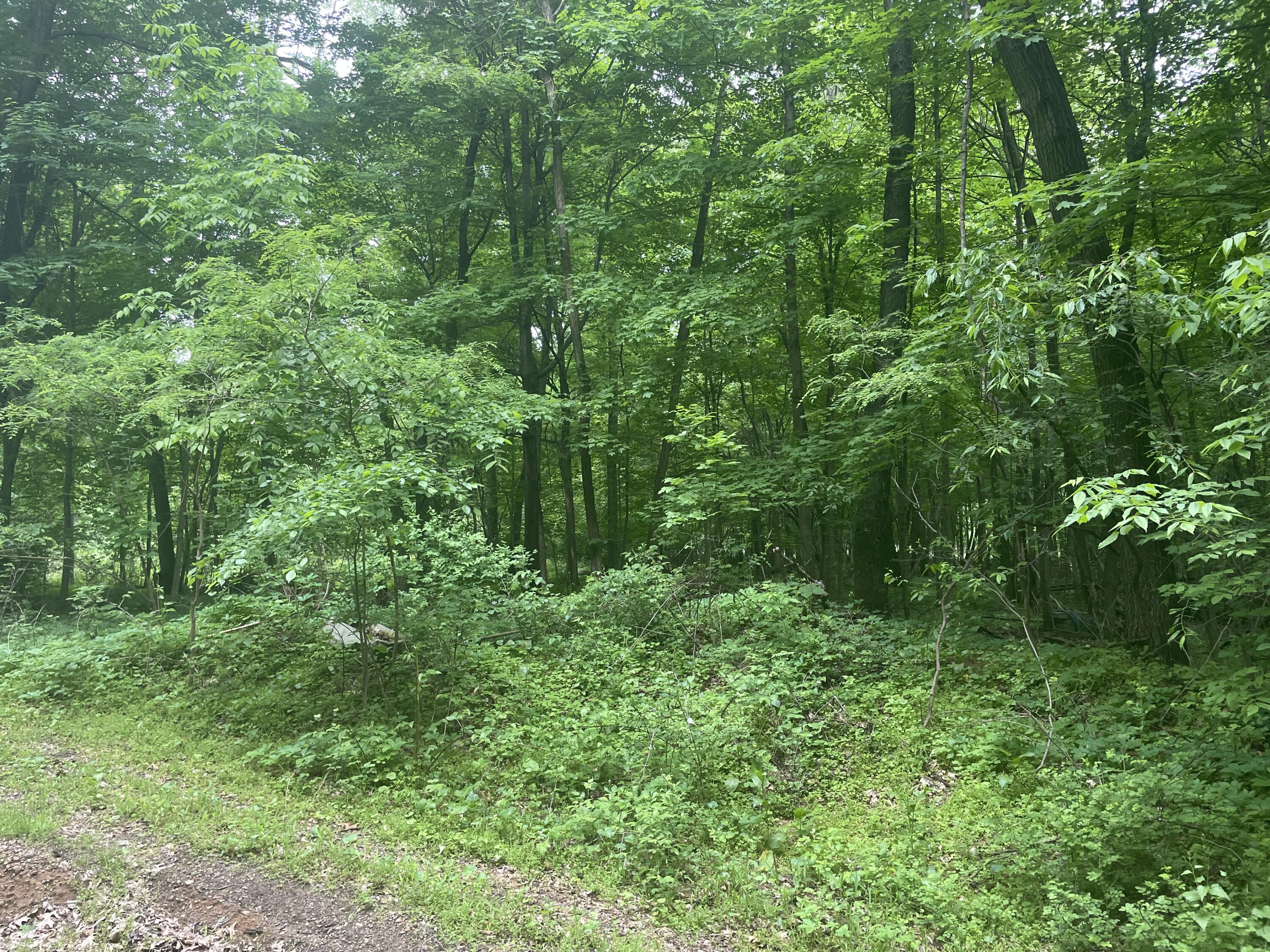 V/L Chippawa Circle Drive